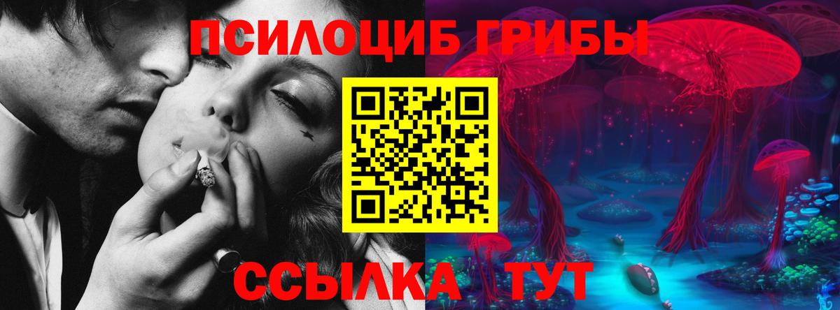 Галлюциногенные грибы Psilocybe  Псилоцибиновые грибы Cubensis  купить  цена  Кемерово  Вход с VPN 